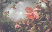 Martin Johnson Heade Hummingbirds and Two Varieties of Orchids painting